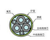 钢带铠装变频电机用（软）电缆