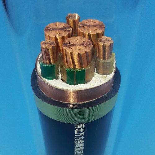 YJVP0.6/1KV3*95+1*50屏蔽电缆