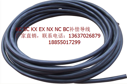 KX补偿导线DZR-KX-HSFP1VP1(B)-2*1.0