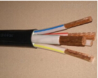 PVC VV 电力电缆